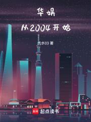 华娱从2004开始封面